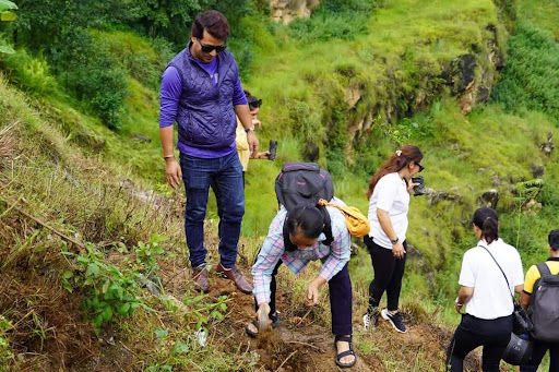 Report on Afforestation Program