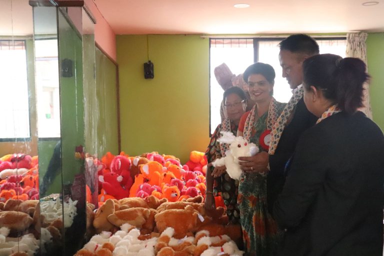 One-Month Doll-Making Training